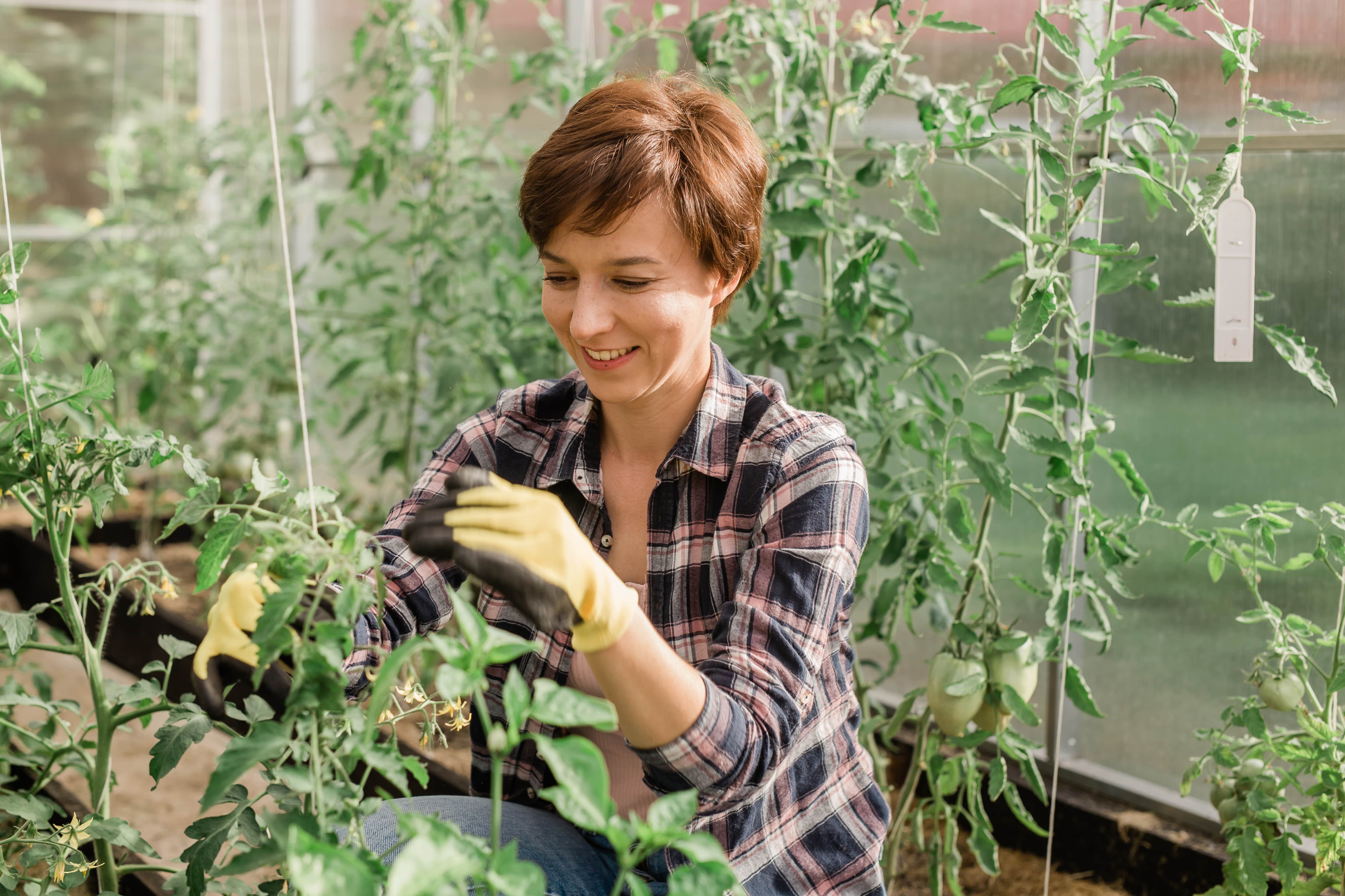 Jornada: Agroecología y produccción ecológica