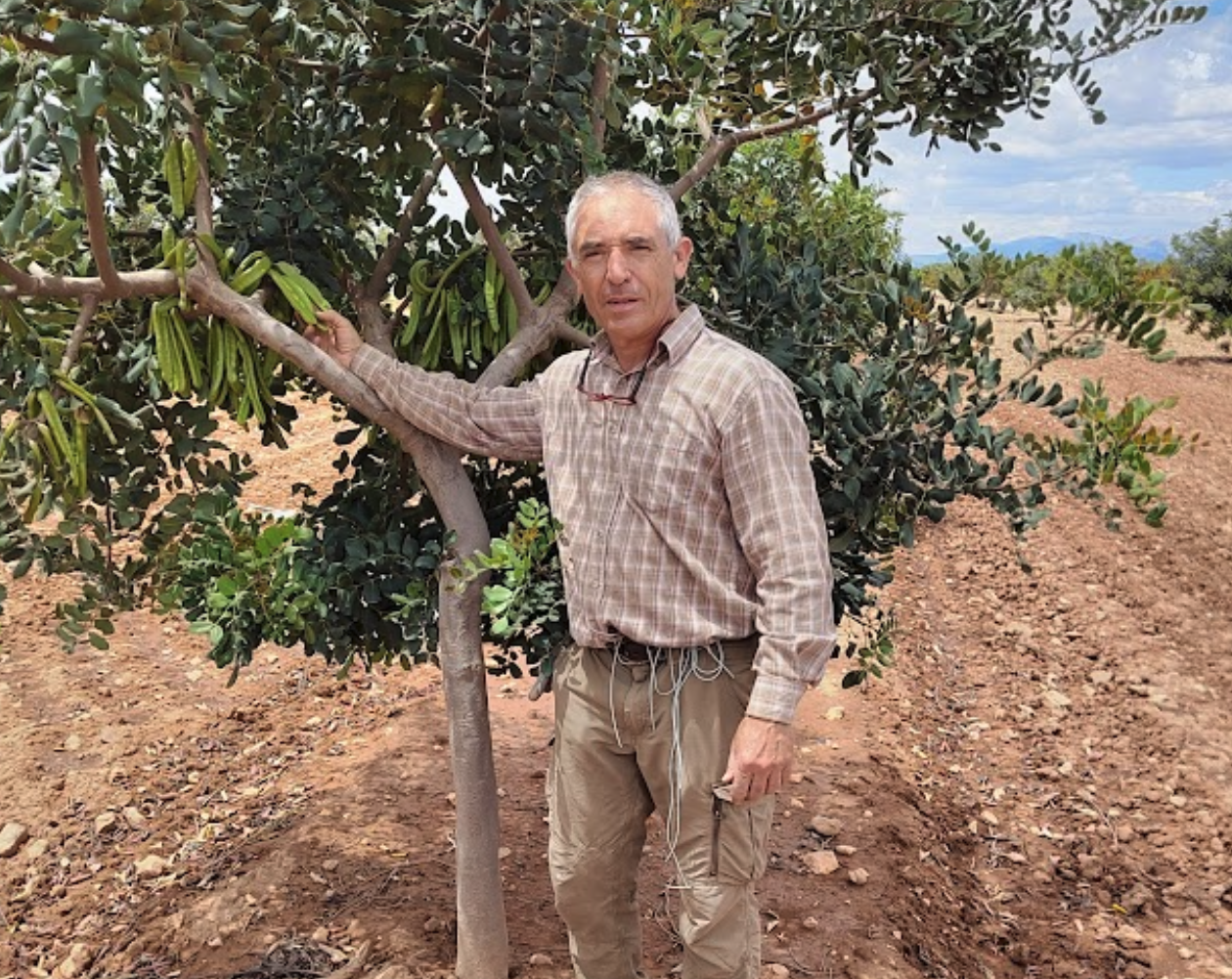 Jornada: El algarrobo, nuevas técnicas de plantación, vivero y riego