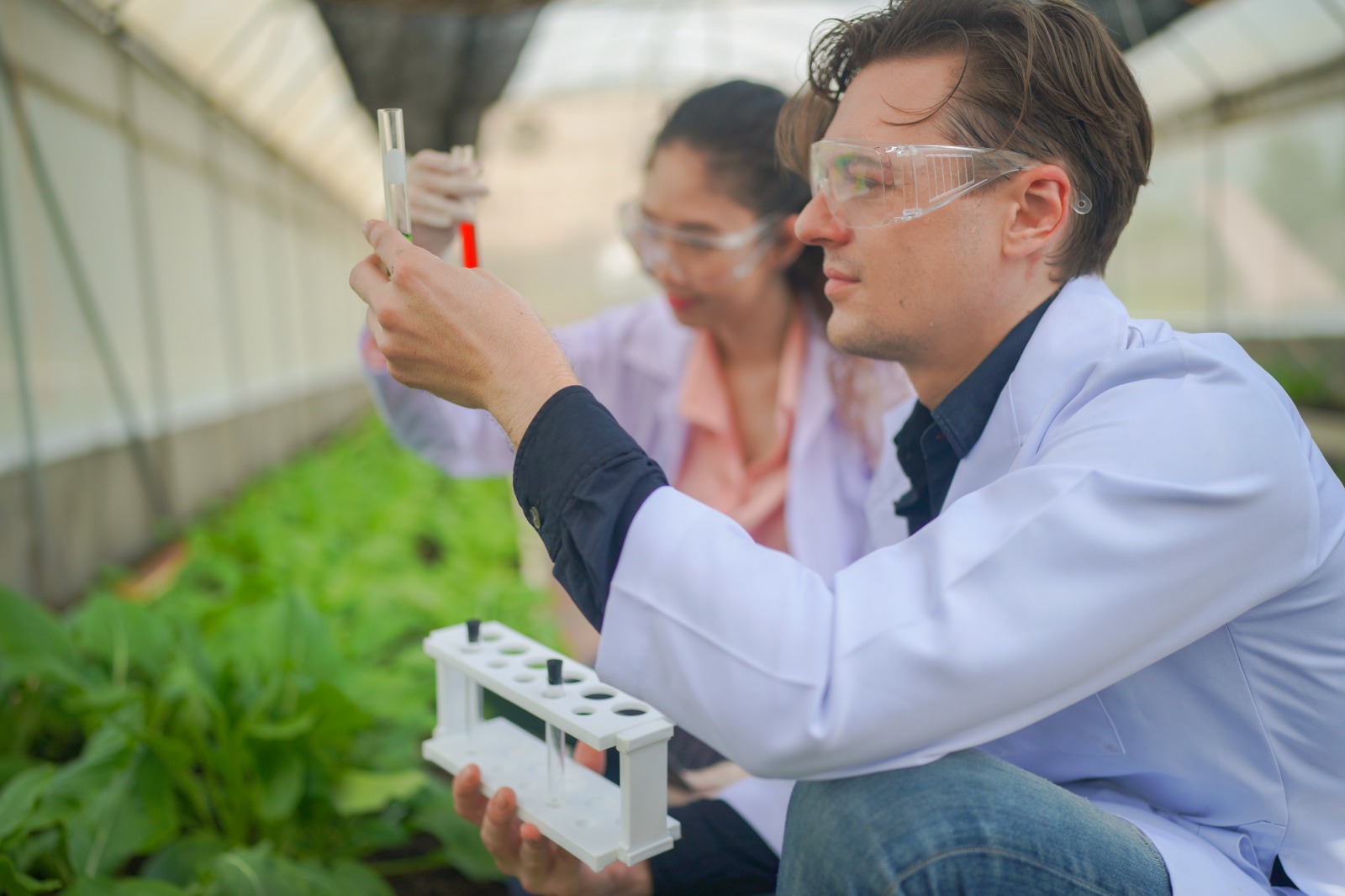 Jornada: Uso de bioproductos para la mejora de la agricultura