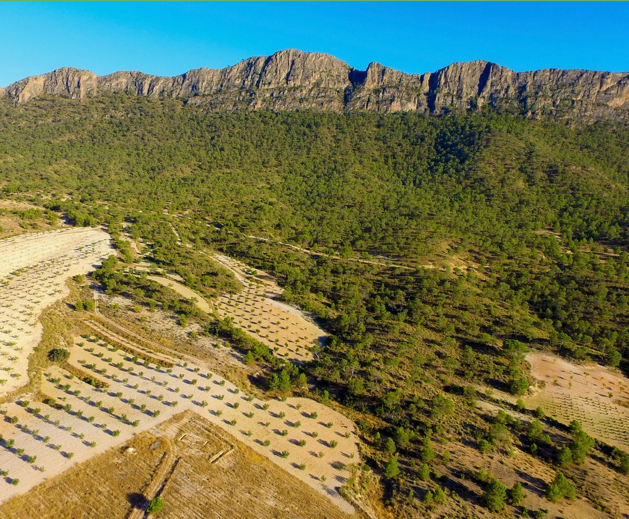 Webinar: Red Posidonia Murcia.