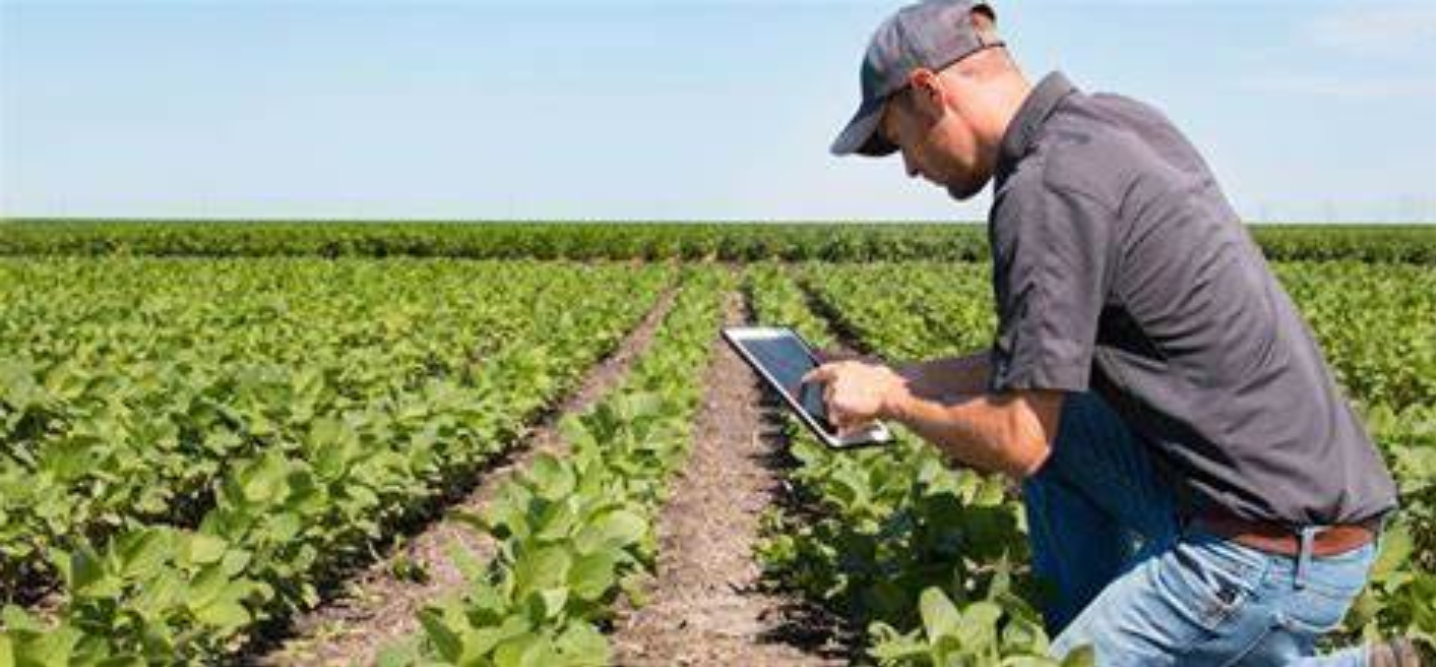 Jornada: Cuaderno de Campo Digital