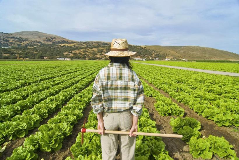 WEBINAR: Jornada del Día de las Mujeres Rurales