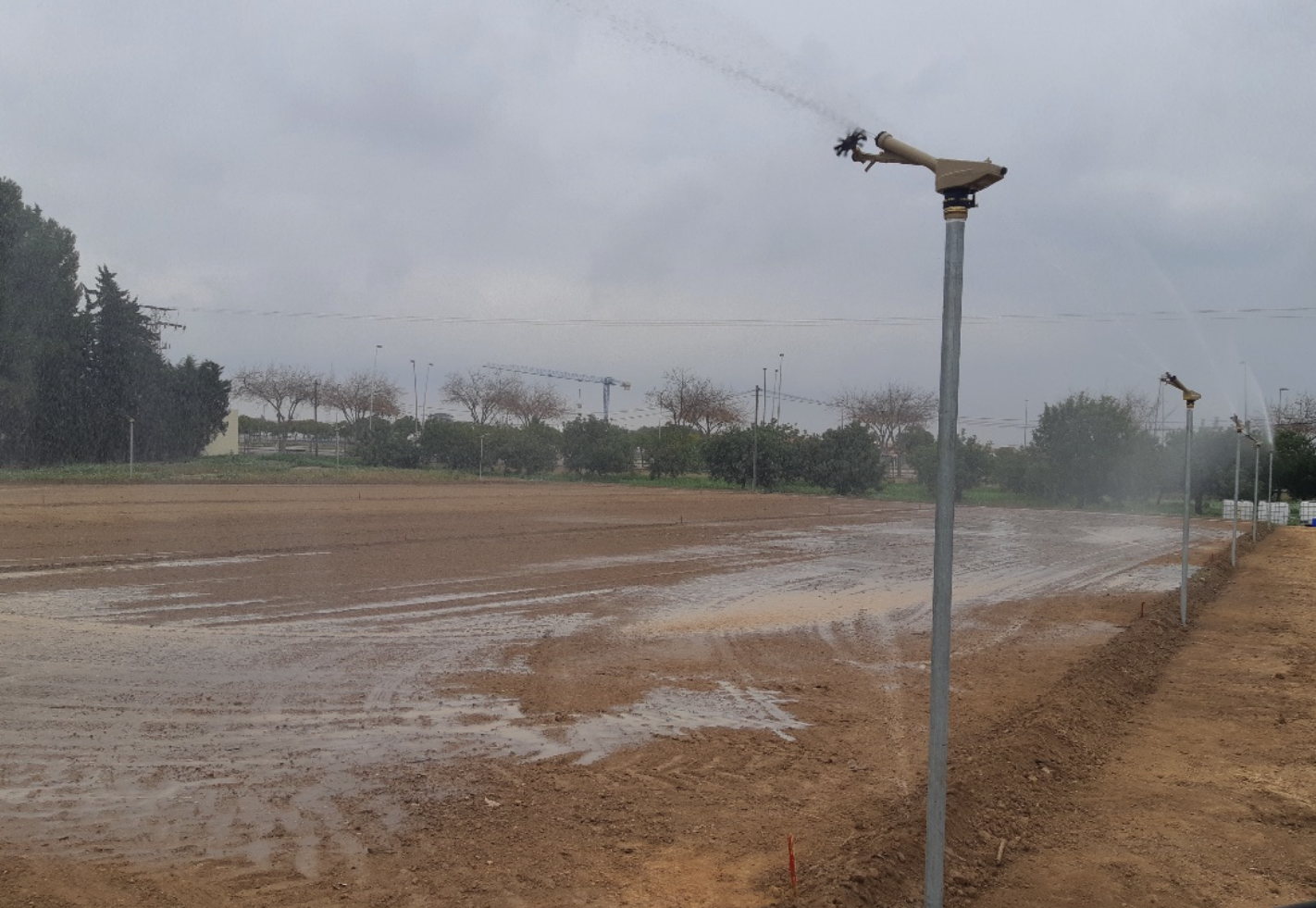 Jornada: Escorrentía bajo distintas condiciones de Laboreo y cubiertas vegetales, en el contexto de La ley 3/2020 de recuperación y protección del Mar Menor