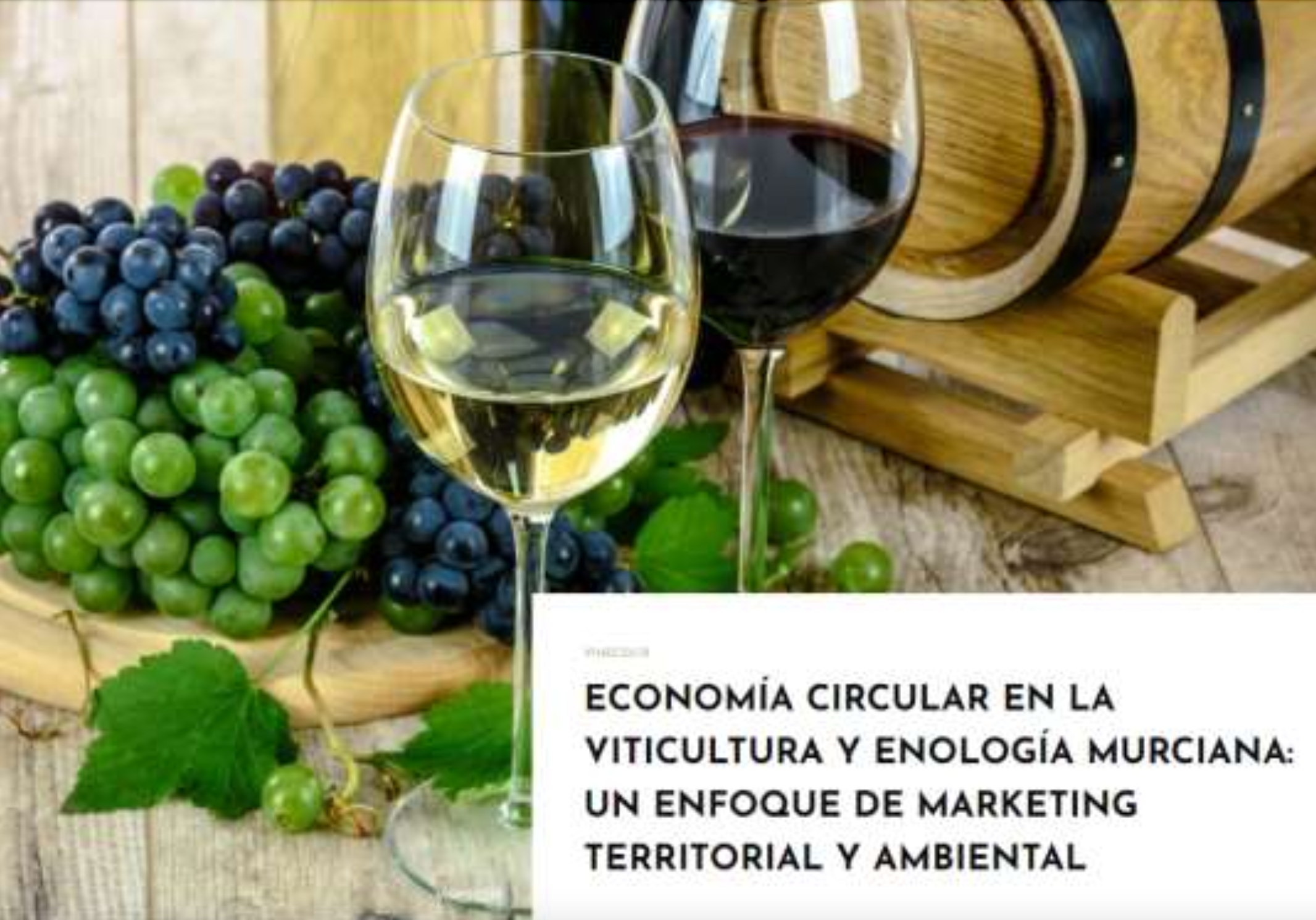 JORNADA MIXTA: Presentación del libro 'Evaluación socioeconómica y ambiental de la cadena vitivinícola destinada a vinos con denominación de origen en la Región de Murcia'