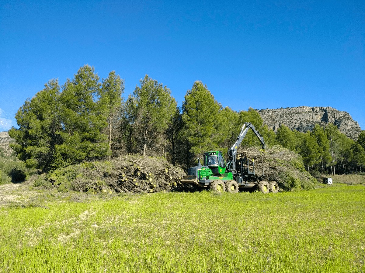 WEBINAR: Selvicultura del carbono. Generación de créditos de co2 para el mercado voluntario de carbono como apoyo al propietario forestal