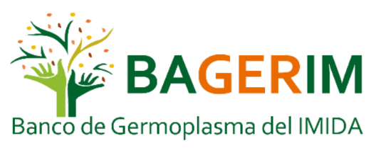 Logo Bagerim