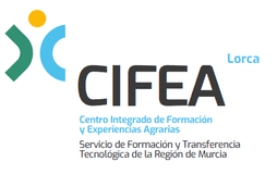 Logo Cifea Lorca