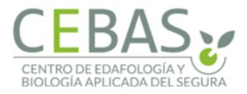 Logo CEBAS