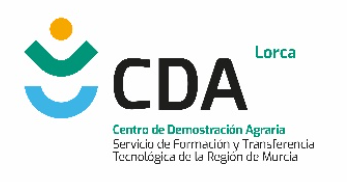 Logo CDA Lorca