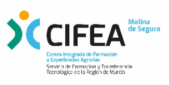 Logo CIFEA Molina